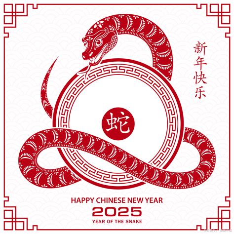 2025年生肖|2025年生肖属什么？